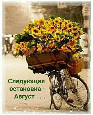   ,    . - 31  2020  13:58 - 3