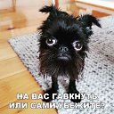 ���� �� �������� ������ ����, ������ - ��������� 10 ������� 2020 � ������ ���� ����������