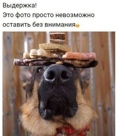 ������� - 13 ����� 2020 � 18:28