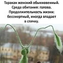 ���� �����, ����-�������, 47 ��� - ��������� 31 ���� 2020 � ������ ������ ��������