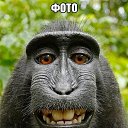 ���� ������, ������, 47 ��� - ��������� 27 ������ 2020