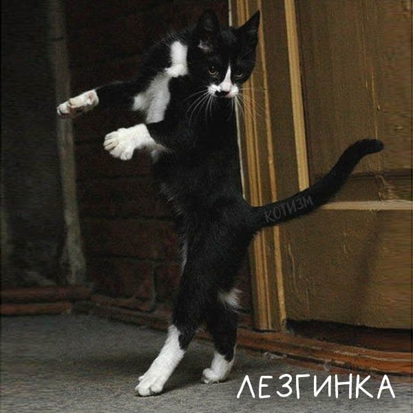       - 5