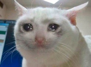 ��������� - 12 ������ 2020 � 19:45