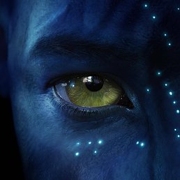 �������, ������, 36 ���