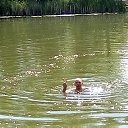 ���� ����������, ������, 57 ��� - ��������� 12 ���� 2020