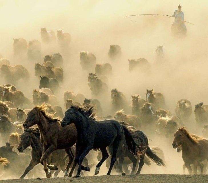 opcae oopa o National Geographic, a oopx pe a yo ocaaaec. - 6