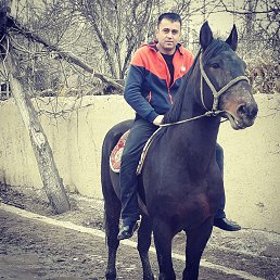 ������, ����-���������, 47 ���