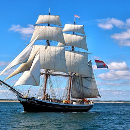 �����, �������, 55 ���