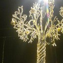 ���� �������, �����-��������� - ��������� 24 ������ 2020 � ������ ������� 2020�