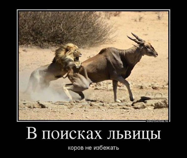  - 12  2020  15:02