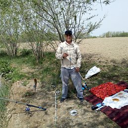 ����, �������