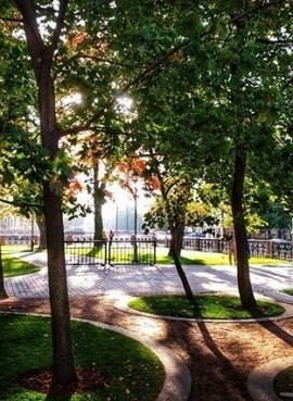 За прогулки в парках петербуржцев оштрафуют на 30 тысяч, за разведение костров — на 5 тысяч рублей. ...