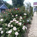 ���� ������, ������ - ��������� 30 ���� 2020 � ������ ����� � ����� �� ����