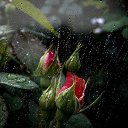 ���� Lara, ������� - ��������� 23 ������ 2020 � ������ �������