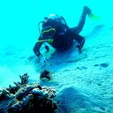 ���� ���������, ������ - ��������� 14 ���� 2020 � ������ ���� ���� ������