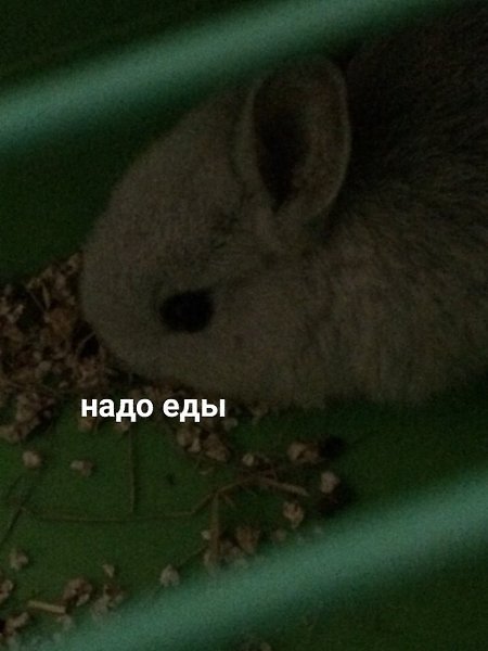 ��� ��� ���� � ����� - - 4