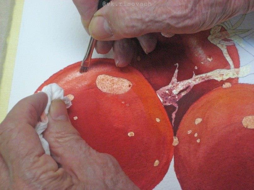�o���op��. - 4