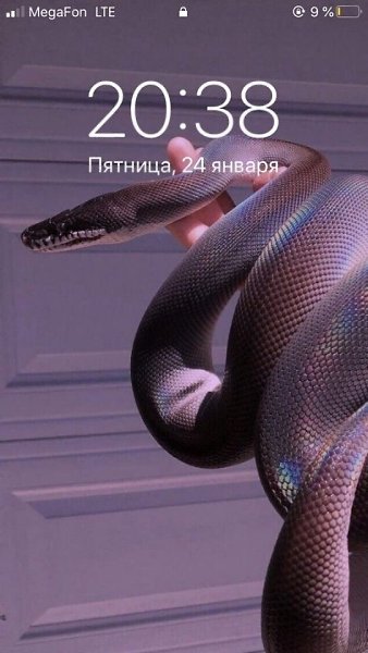 А что у вас стоит на экране телефона? Поделитесь своими обоями на телефоне.. Кидайте скрин в ... - 2