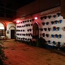 ���� �������, ������ - ��������� 16 ������ 2020 � ������ �������� �� 2020�