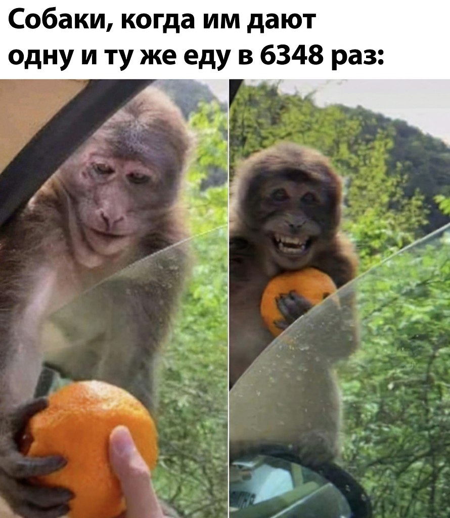    ר! - 9  2020  17:51
