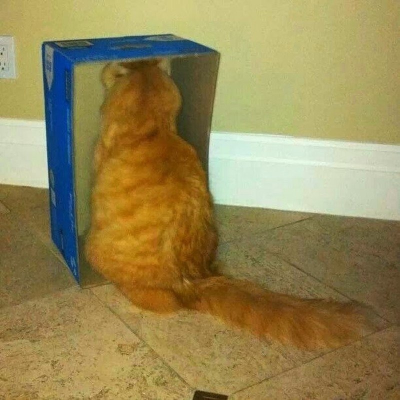     : - 5