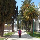 ���� �����, ������ - ��������� 13 ������ 2020 � ������ ������ ��������