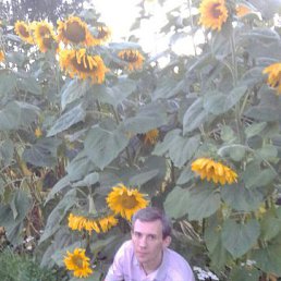 ���� �������, ������, 41 ��� - ��������� 11 ������� 2020