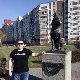 ���������, ������, 41 ���