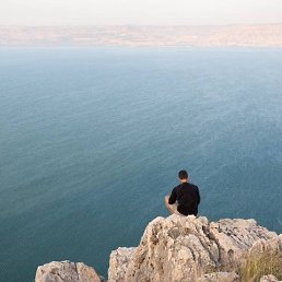  Zerg, , 50  -  25  2020