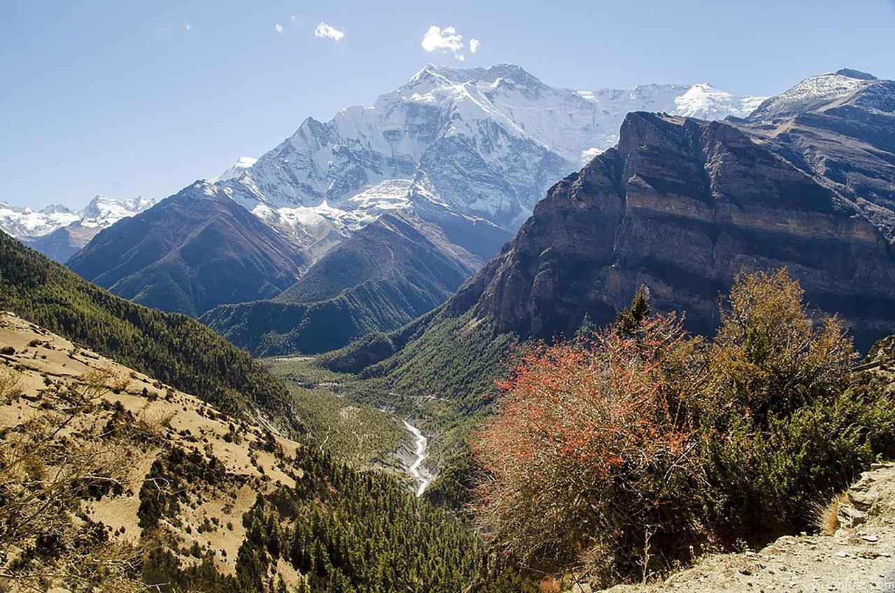 , Nepal, Annapurna region