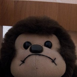 Vova, ������, 35 ���