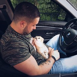 ���� Cfif, ���� - ��������� 10 ������ 2020