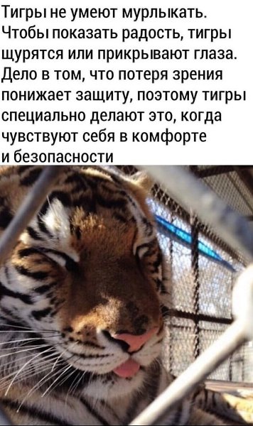  | ,  - 13  2020  19:06