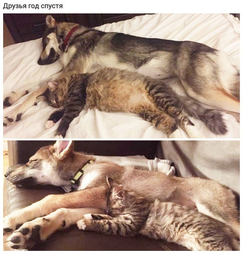 o   oo ooo o, o  o  . - 9