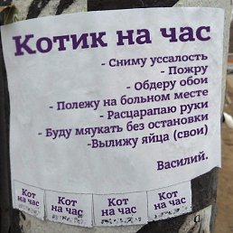 Krot, �������, 44 ����