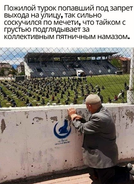 BEST | , ,  - 6  2020  19:04