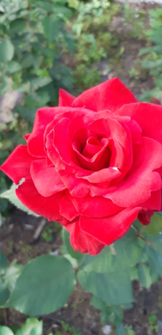  ******** - 28  2020  12:57 - 7