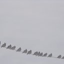 ���� �����, ������������ - ��������� 10 ������� 2020 � ������ ���� ����������