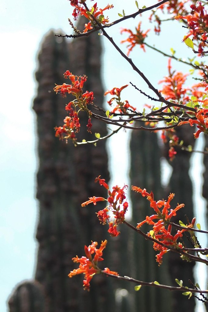 Ethnobotanical Garden      - 3
