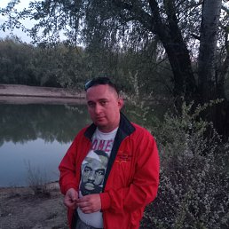 , , 44 