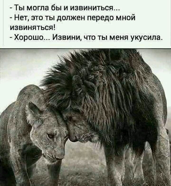 ����� - 20 ���� 2020 � 10:07