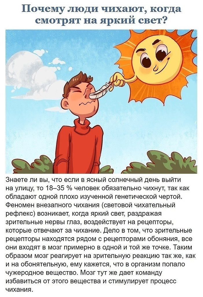  ,       . - 3