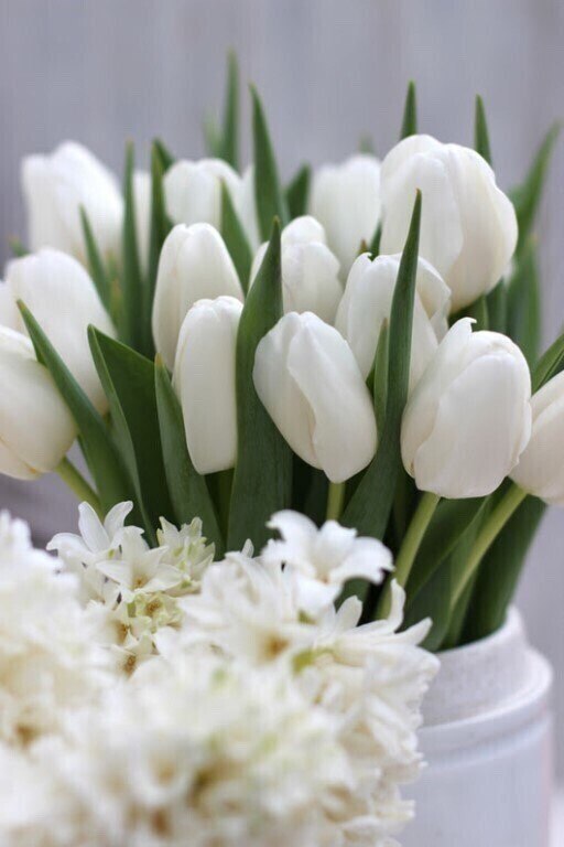 ...  ,         ,  , ... - 3