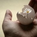  , --, 36  -  24  2020    