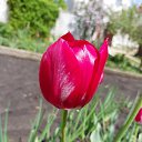 ���� ��������, ������ - ��������� 3 ��� 2020 � ������ ���� ����������
