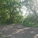 ���� �������, ����������� - ��������� 25 ���� 2020 � ������ ��������