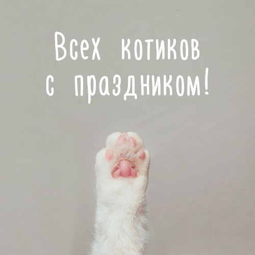 Co ce  !