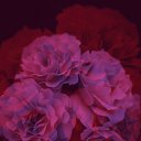 ���� �����, ������ ��������, 38 ��� - ��������� 8 ����� 2020 � ������ ������ ��������