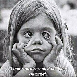 �����, ��������, 40 ���