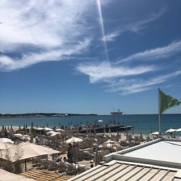 ���� ������, �����-��������� - ��������� 24 ����� 2020